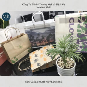 Túi giấy Túi giấy