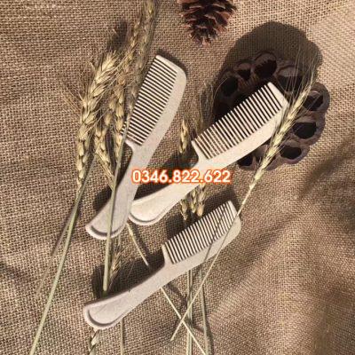 Lược khách sạn