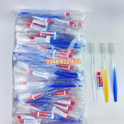 Bàn chải đánh răng cán xanh gầy kem đỏ ( túi 100 chiếc )