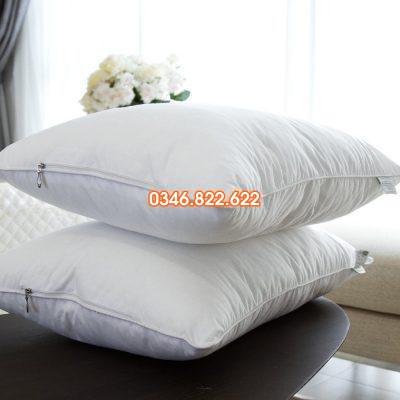 Ruột gối bông microfiber Hàn Quốc